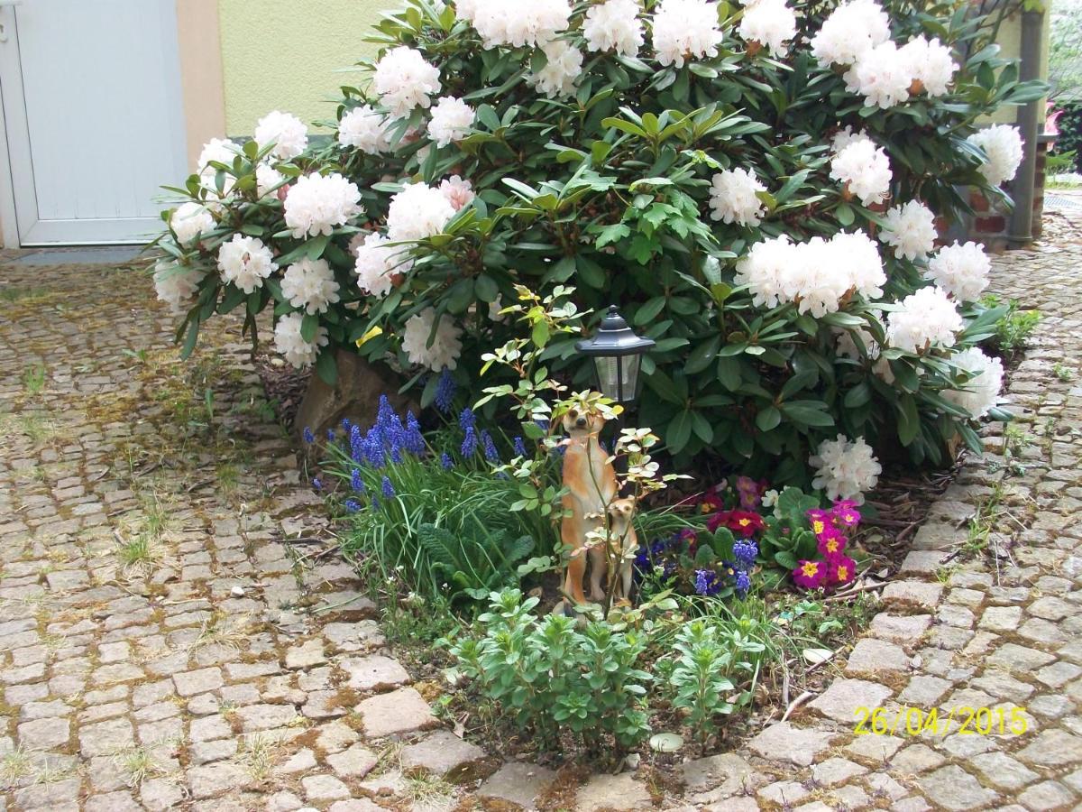 Giesis Wohlfuehloase Apartment Döbeln Exterior foto